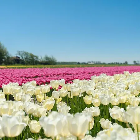 Vakantiehuis Gemuetlicher Fuer 4 Personen By Interhome