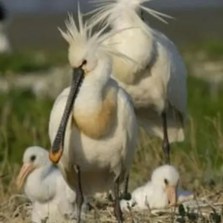 Gemuetlicher Fuer 4 Personen By Interhome *