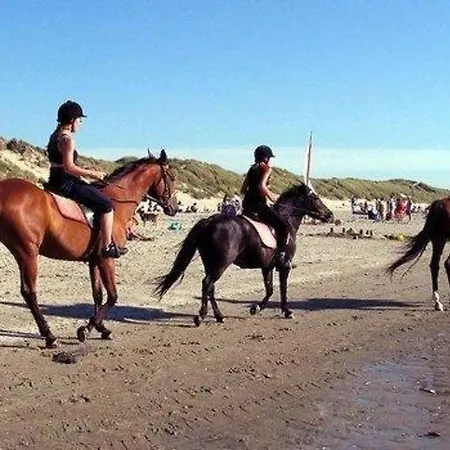 Vakantiehuis Gemuetlicher Fuer 4 Personen By Interhome Callantsoog