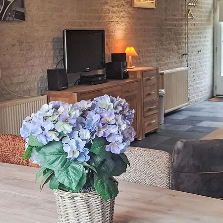 Ferienhaus Gemuetlicher Fuer 4 Personen By Interhome Callantsoog