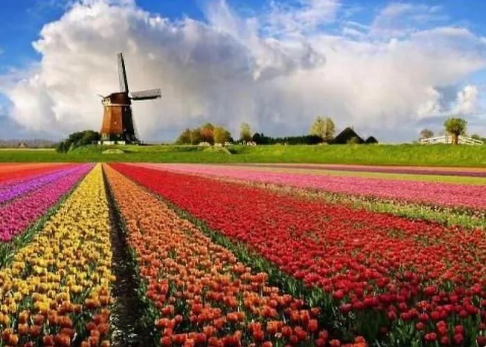 Holiday home Gemuetlicher Fuer 4 Personen By Interhome