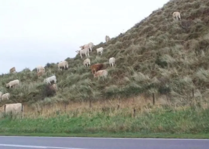 Gemuetlicher Fuer 4 Personen By Interhome Holiday home