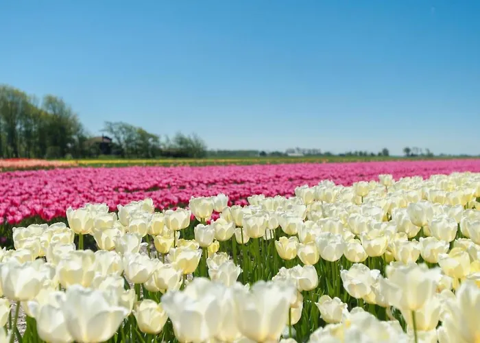 Holiday home Gemuetlicher Fuer 4 Personen By Interhome