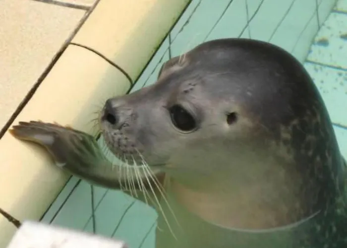 Holiday home Gemuetlicher Fuer 4 Personen By Interhome Callantsoog