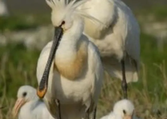 Gemuetlicher Fuer 4 Personen By Interhome *