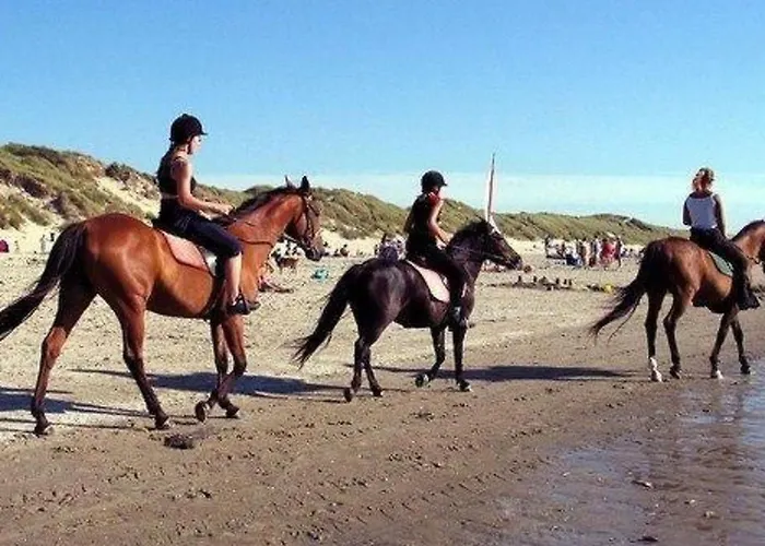 Holiday home Gemuetlicher Fuer 4 Personen By Interhome Callantsoog